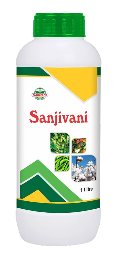 Sanjivani