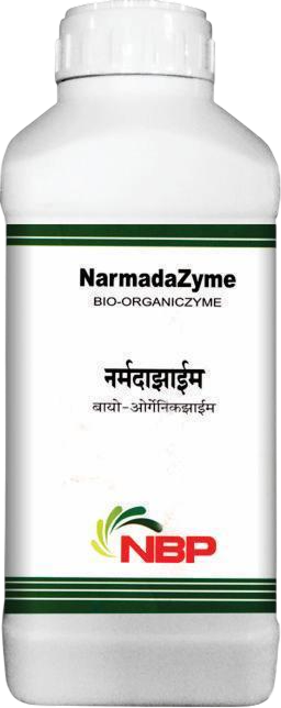NarmadaZyme