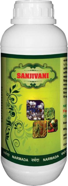 Sanjivani