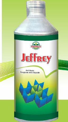 Jeffrey
