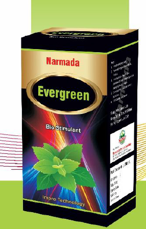 NARMADA EVERYGREEN